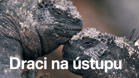 Draci na ústupu