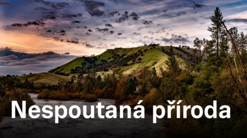 Nespoutaná příroda (17)