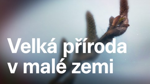 Velká příroda v malé zemi (2)