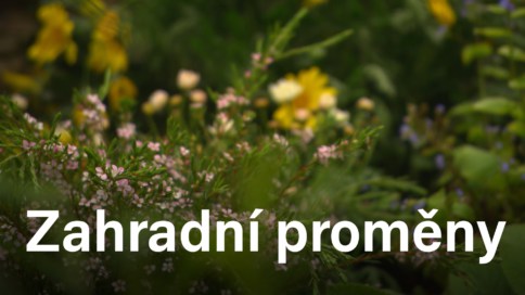 Zahradní proměny II (17)